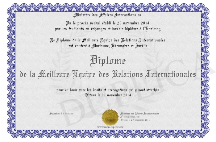 diplome relations internationales